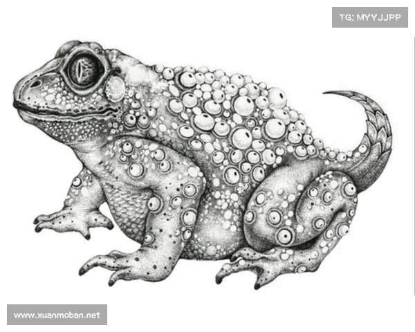 走进神兽森林秘境探险揭开最神秘生物的奇幻面纱